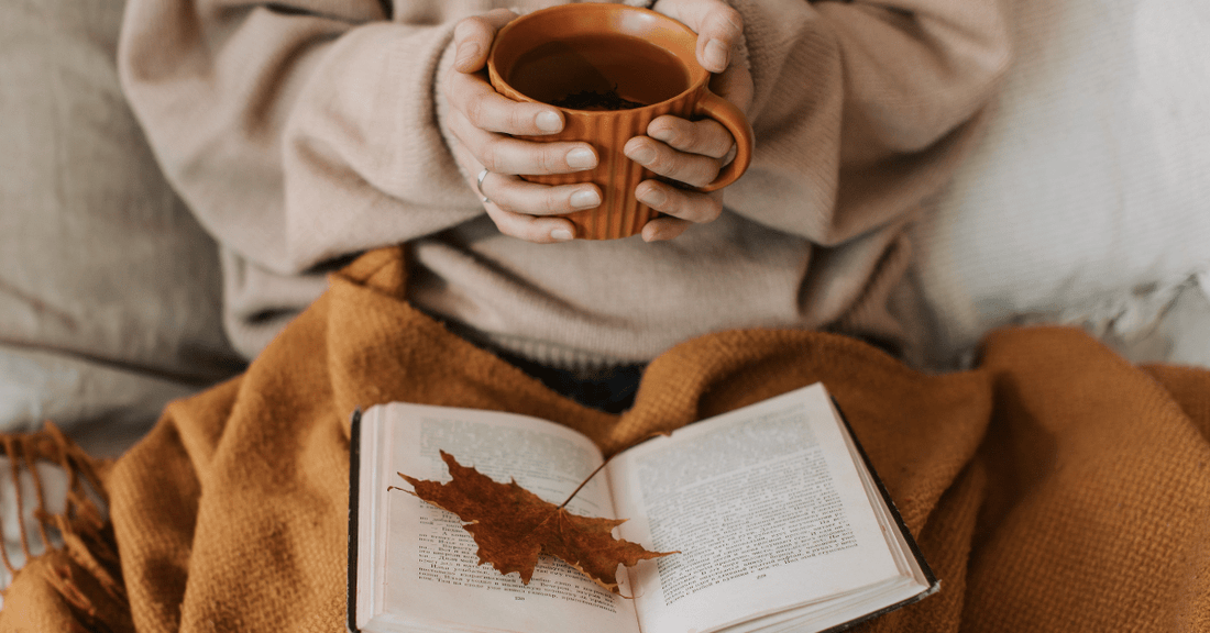 🍁 Book Lovers, This One’s for You: 5 Cozy Reads to Snuggle Up With This Fall - NovelTeas