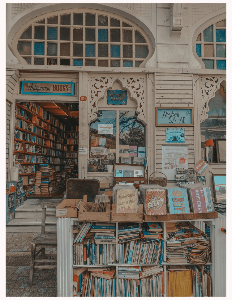 Blind Date With A Book Bundles - NovelTeas